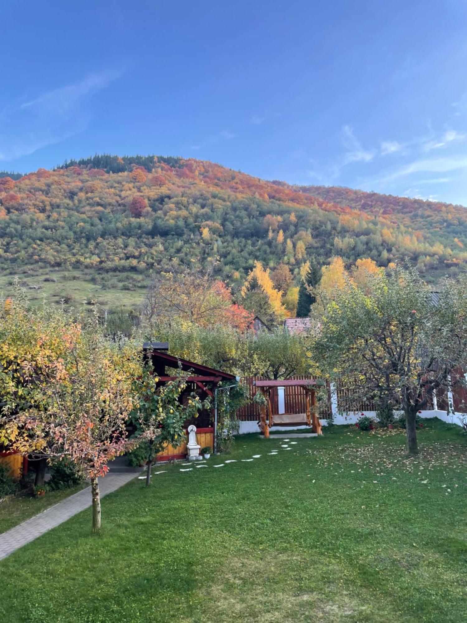 Pensiunea Vatafu Gura Rîului Esterno foto