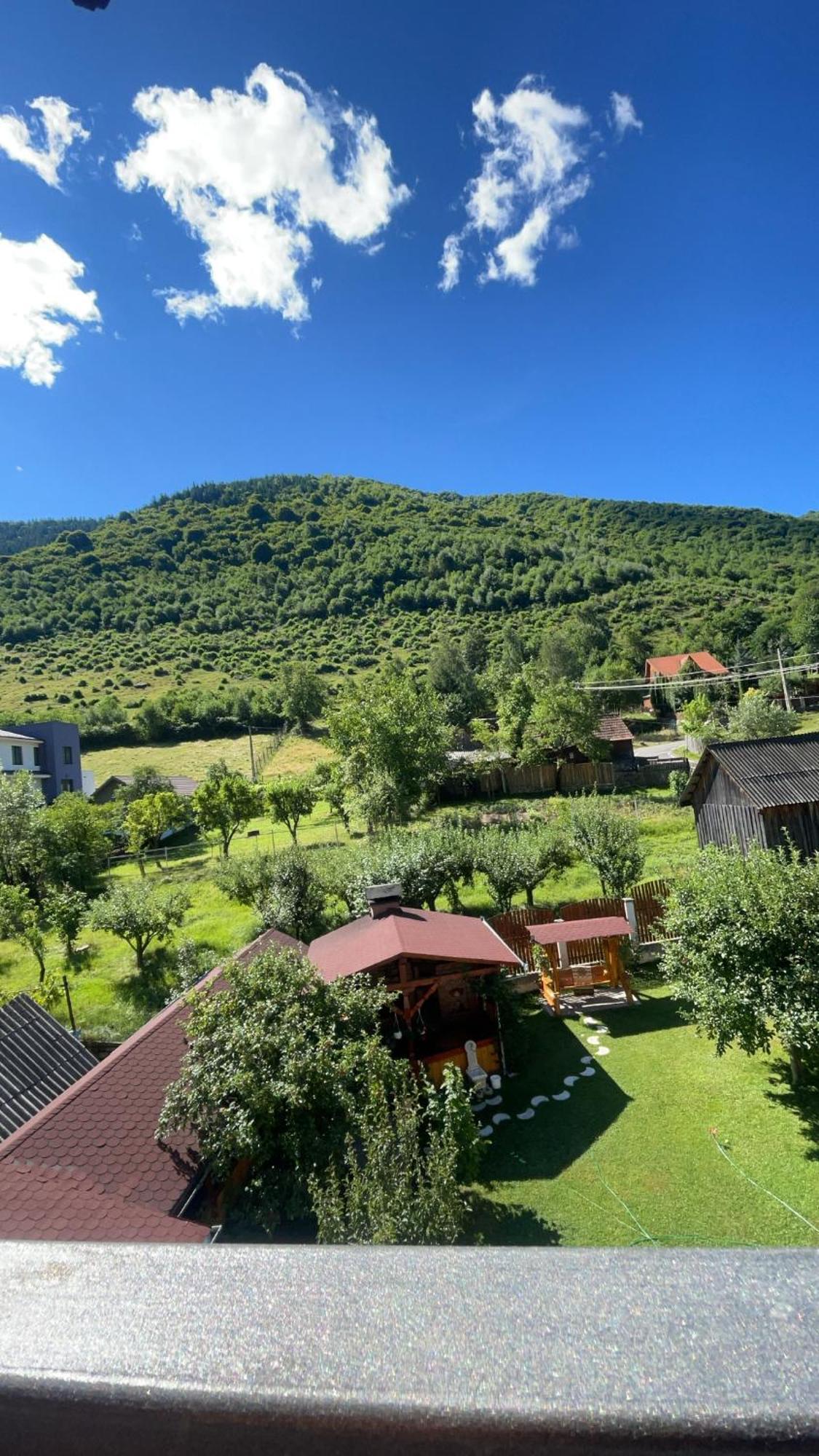 Pensiunea Vatafu Gura Rîului Esterno foto